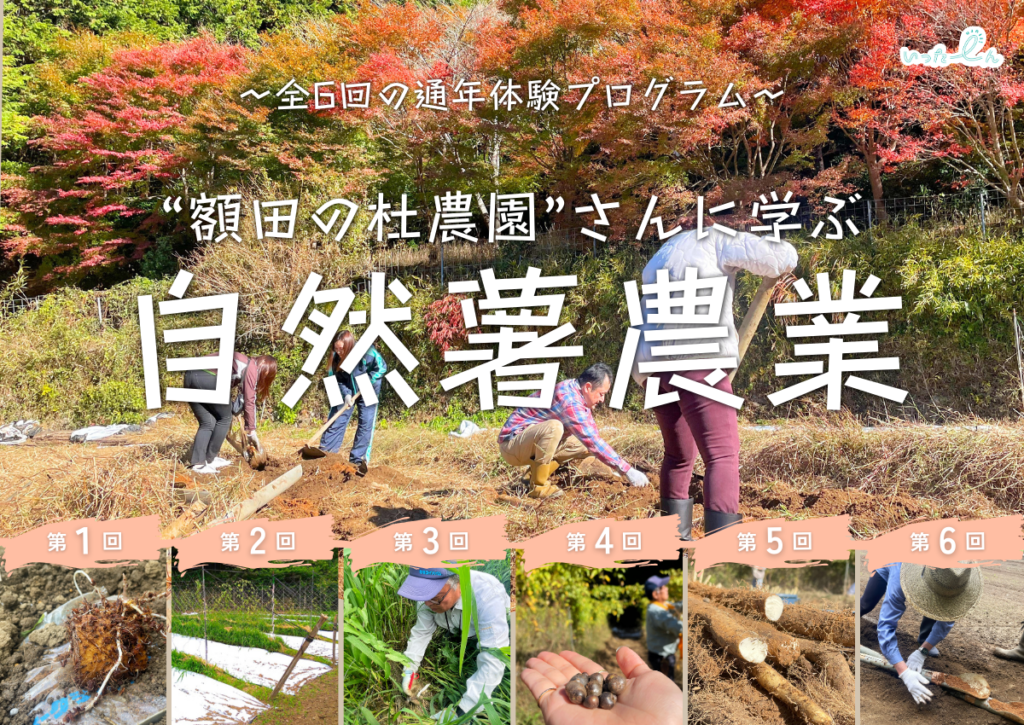 岡崎市に取りに来てくれる方限定！田んぼから出た良質な作土を販売中